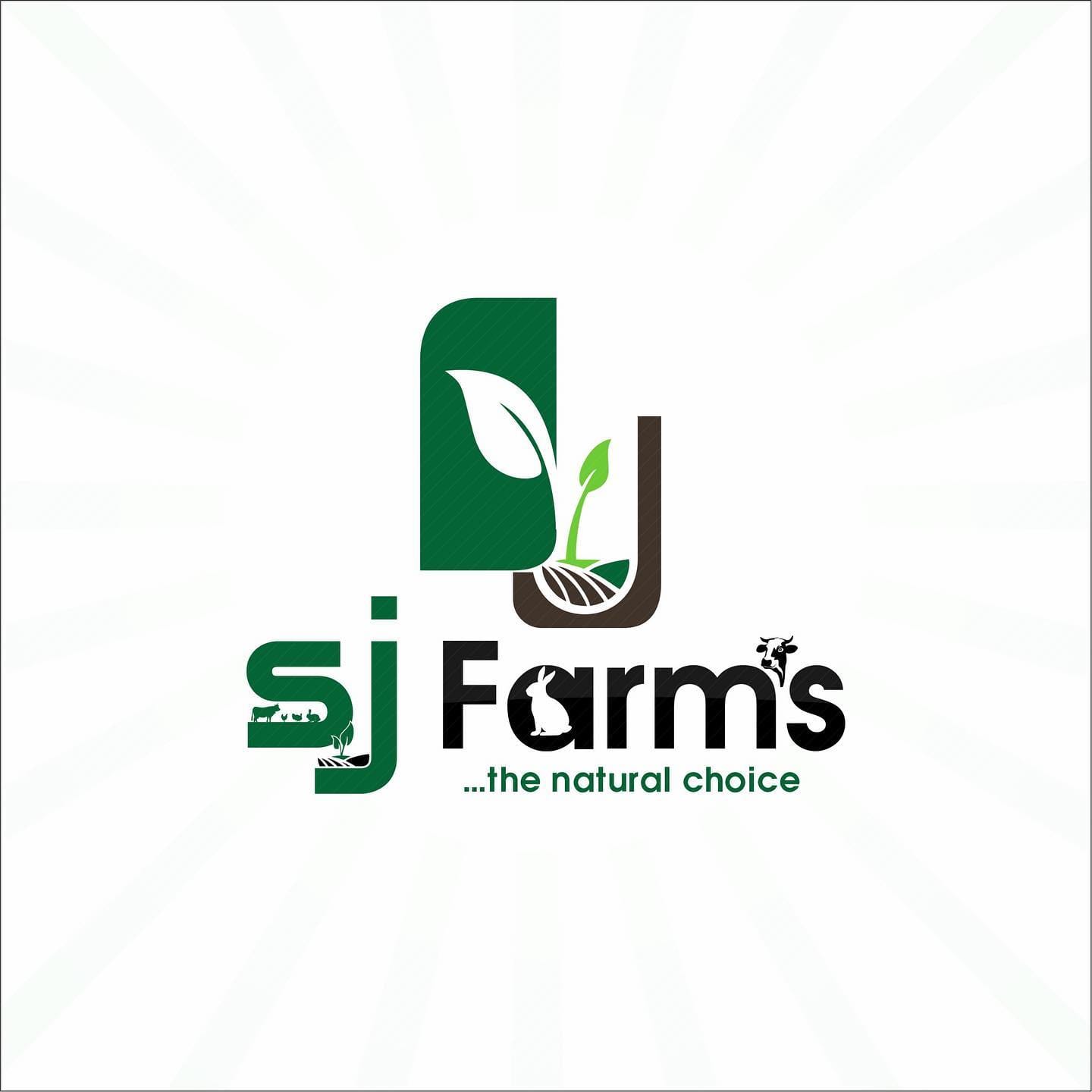 280770753 518571396569466 2438119953582214285 n